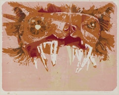 Wolf, Blind in One Eye