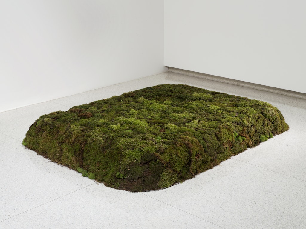 Moss Bed, Queen