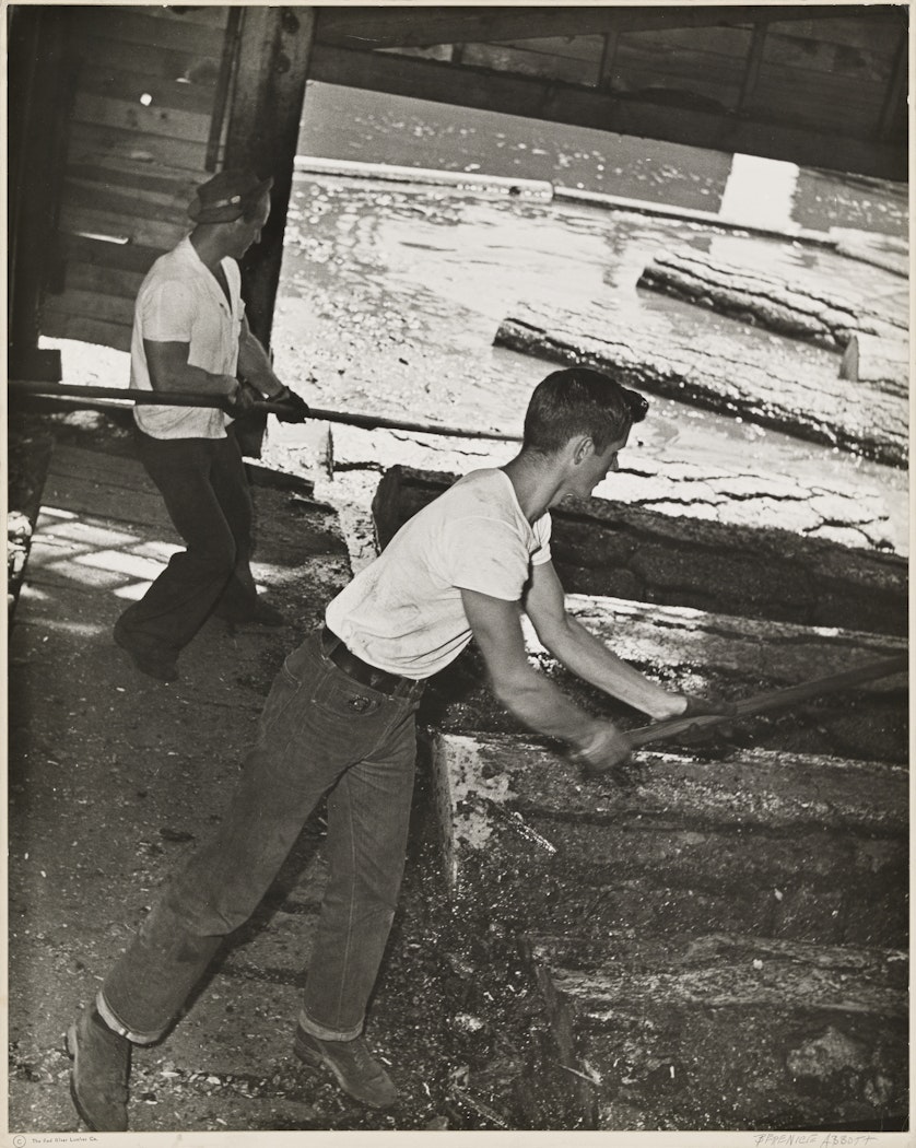 Mill Pond Logs for Plywood from The Red River Photographs