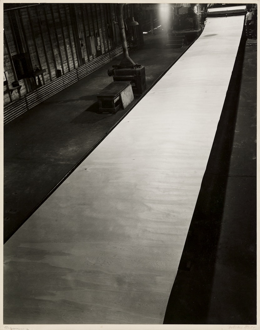 Plywood - Sheet of Pine Veneer Coming from Lathe from The Red River Photographs