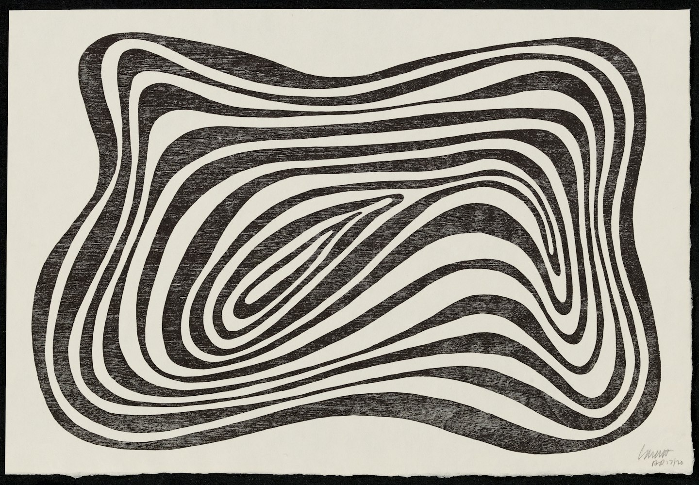 Concentric Irregular Black and White Bands