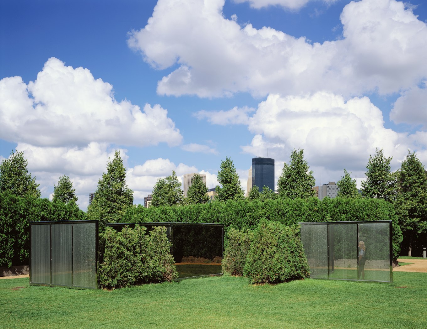 garden view in summer