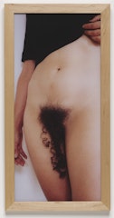 The Extra Hair 2