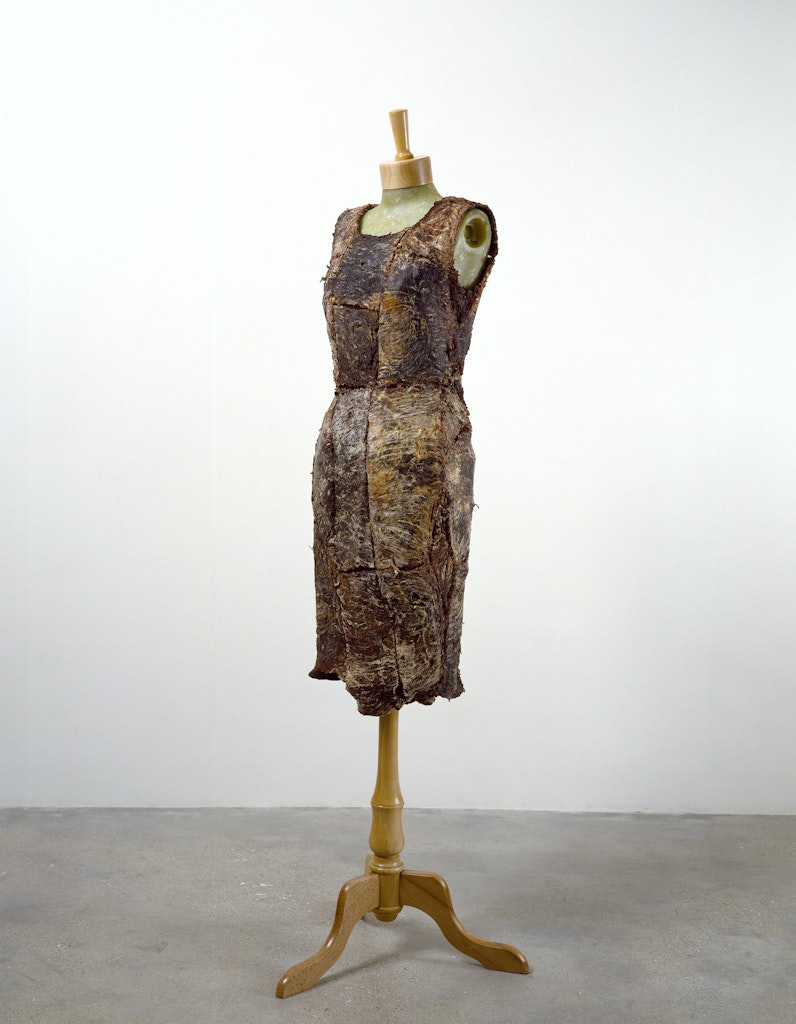 Vanitas: Flesh Dress for an Albino Anorectic