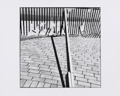 photograph from the Steve Lacy Series