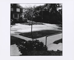 photograph from the Steve Lacy Series