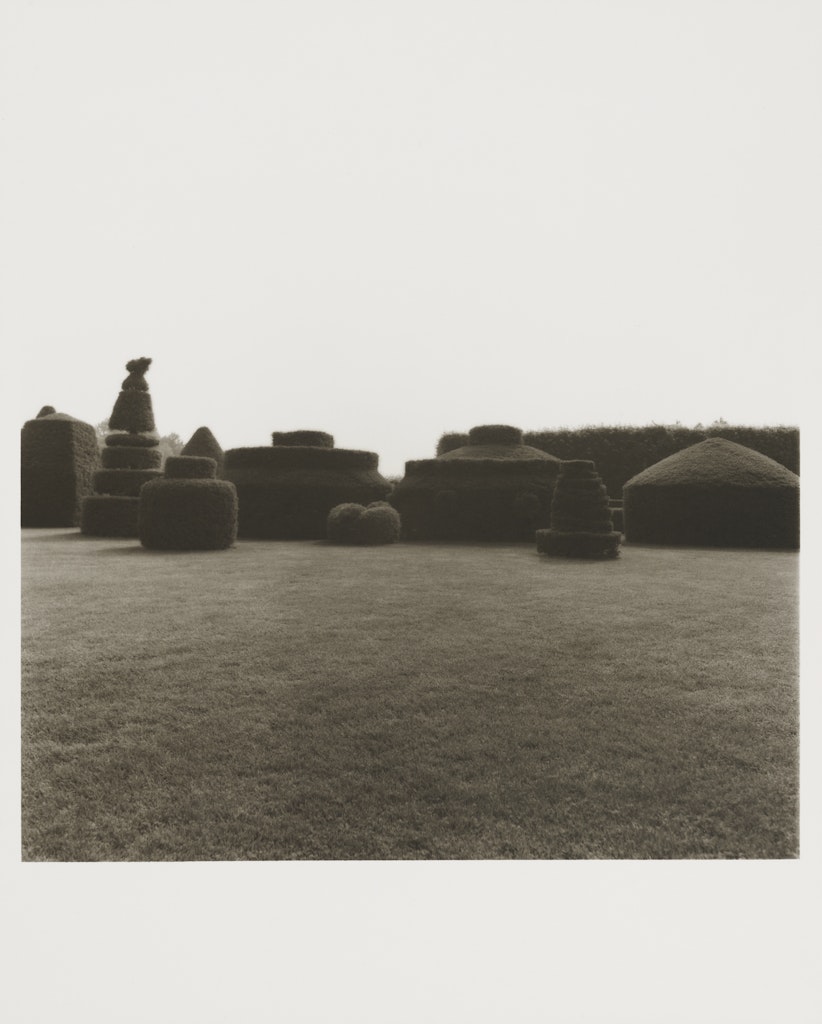 Untitled from Garden Series