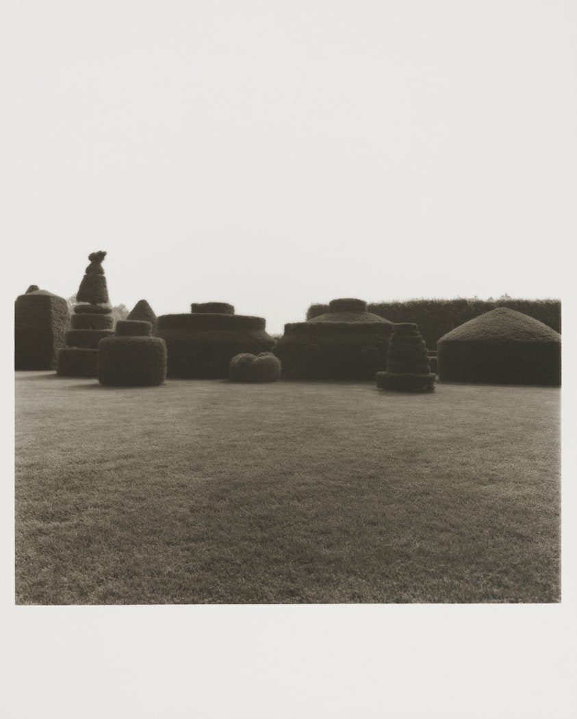 Untitled from Garden Series