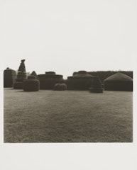 Untitled from Garden Series