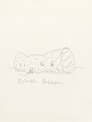 Knee Diner:  Working Document related to Notes