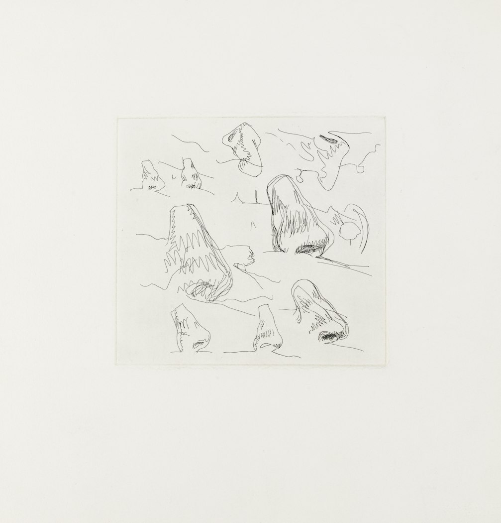 Landscape with Noses