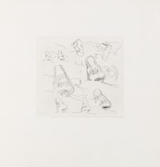 Landscape with Noses