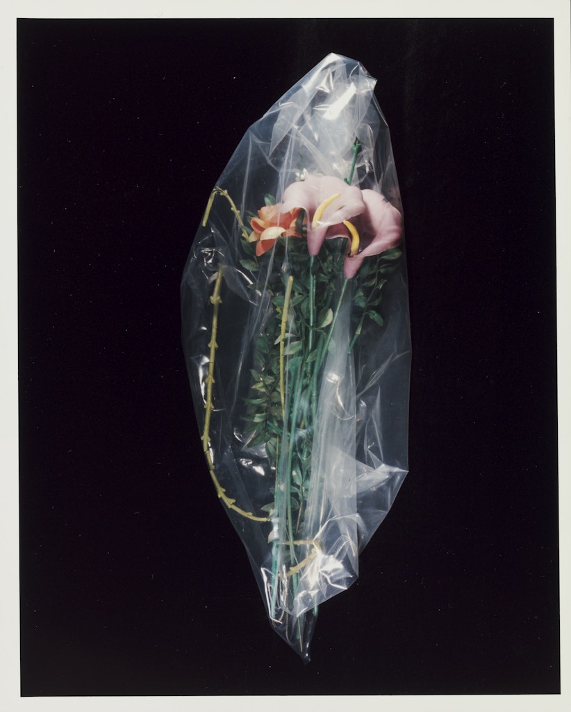 untitled from Exorcism from Roberta       [Roberta's exorcism flowers]