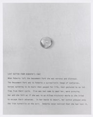 untitled from Roberta's External Transformations from Roberta   [lost button from Roberta's coat]