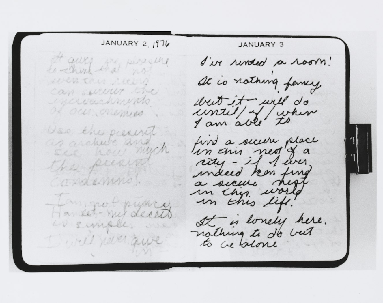 untitled from Roberta's Internal Transformations: Language from Roberta       [open page from diary]