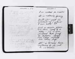 untitled from Roberta's Internal Transformations: Language from Roberta       [open page from diary]