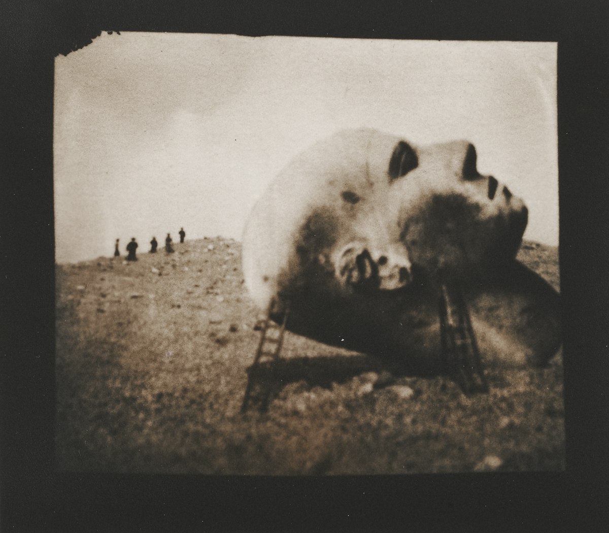 untitled from the Expedition Series 