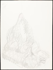 One of 16 studies for an unrealized portfolio related to Profile Airflow