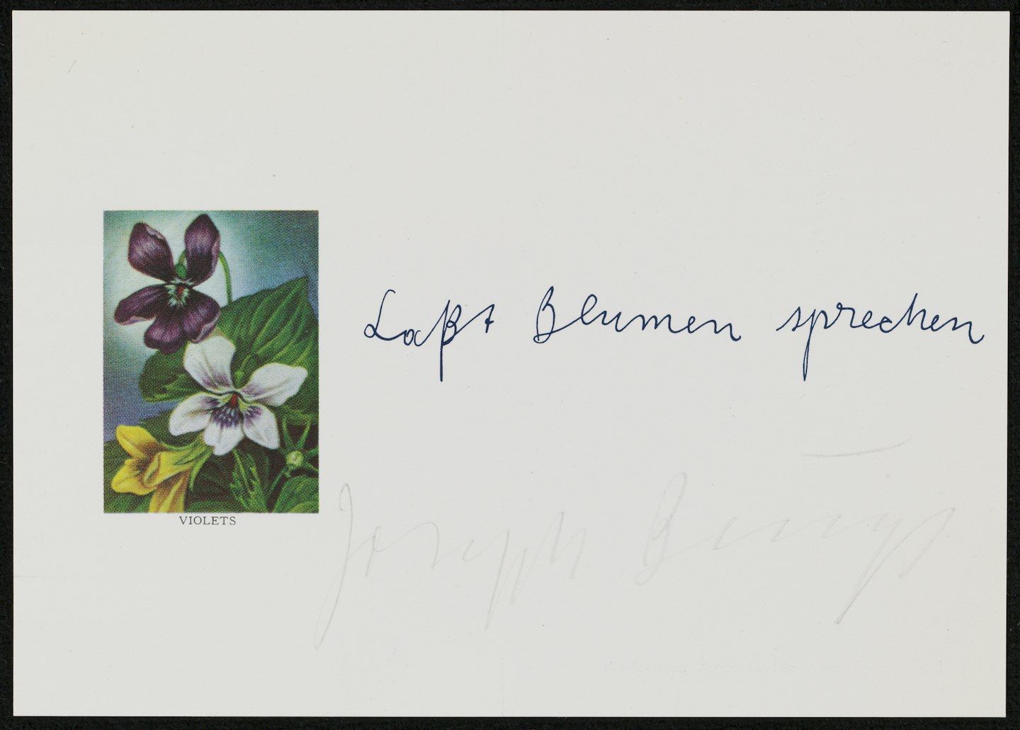 Laßt Blumen sprechen (Let Flowers Speak)