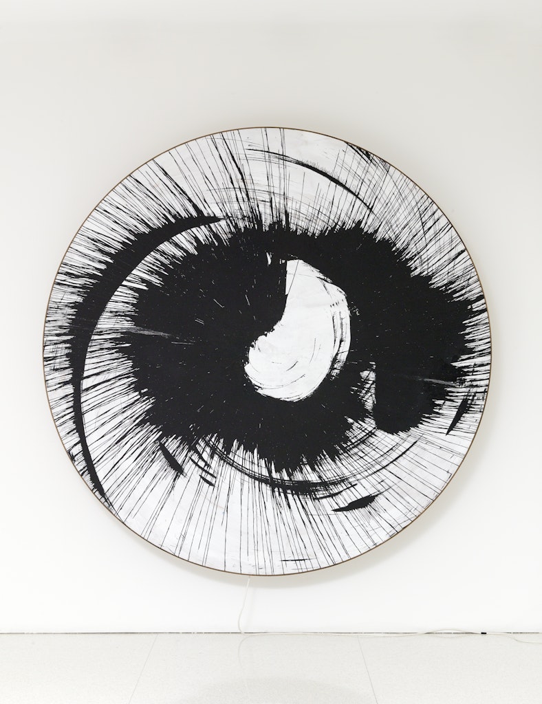 untitled (Ándromeda) spin-painting