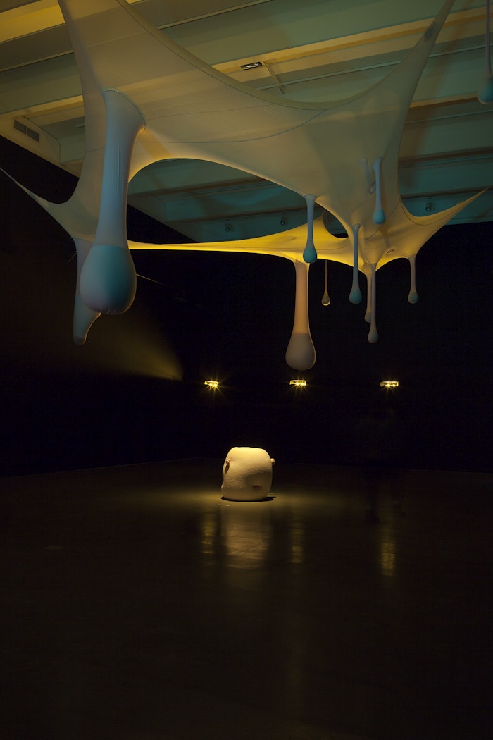 Installation view in Perlman Gallery