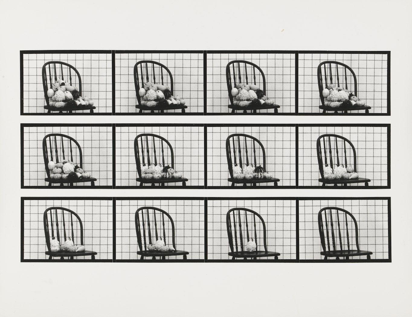 Gourds vanishing (var. "Mixed Ornamental") from Sixteen Studies from Vegetable Locomotion