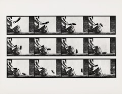 Zuccini squash encountering sawhorse (var. "Dread") from Sixteen Studies from Vegetable Locomotion
