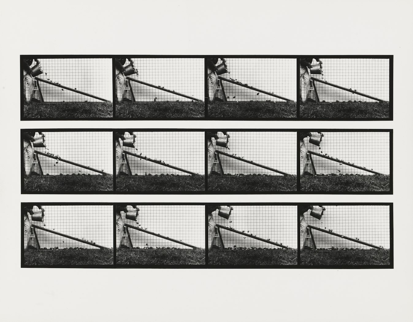 Tomatoes descending a ramp (var. "Roma" ) from Sixteen Studies from Vegetable Locomotion