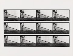 Tomatoes descending a ramp (var. "Roma" ) from Sixteen Studies from Vegetable Locomotion