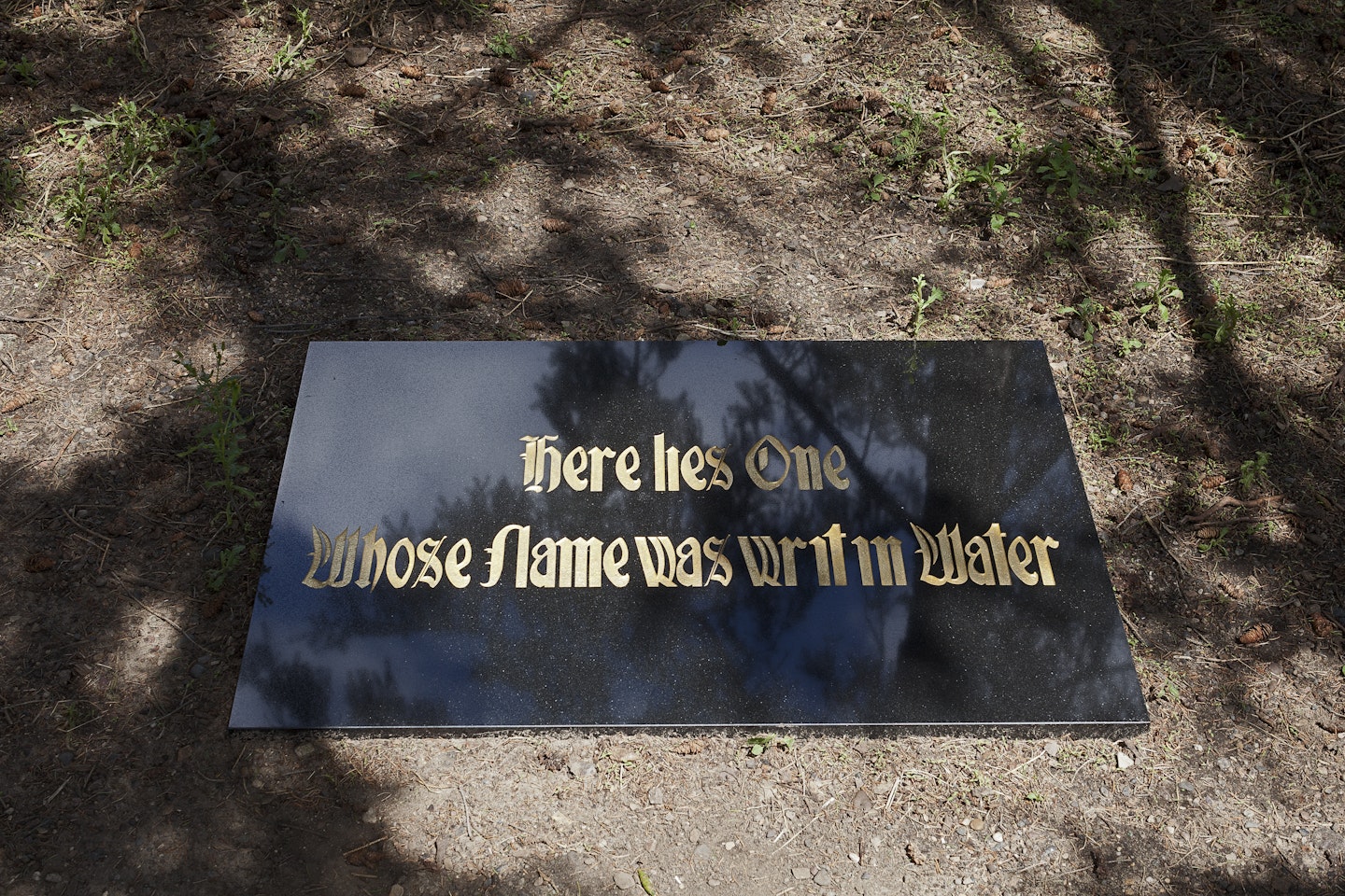 Installed in Minneapolis Sculpture Garden
