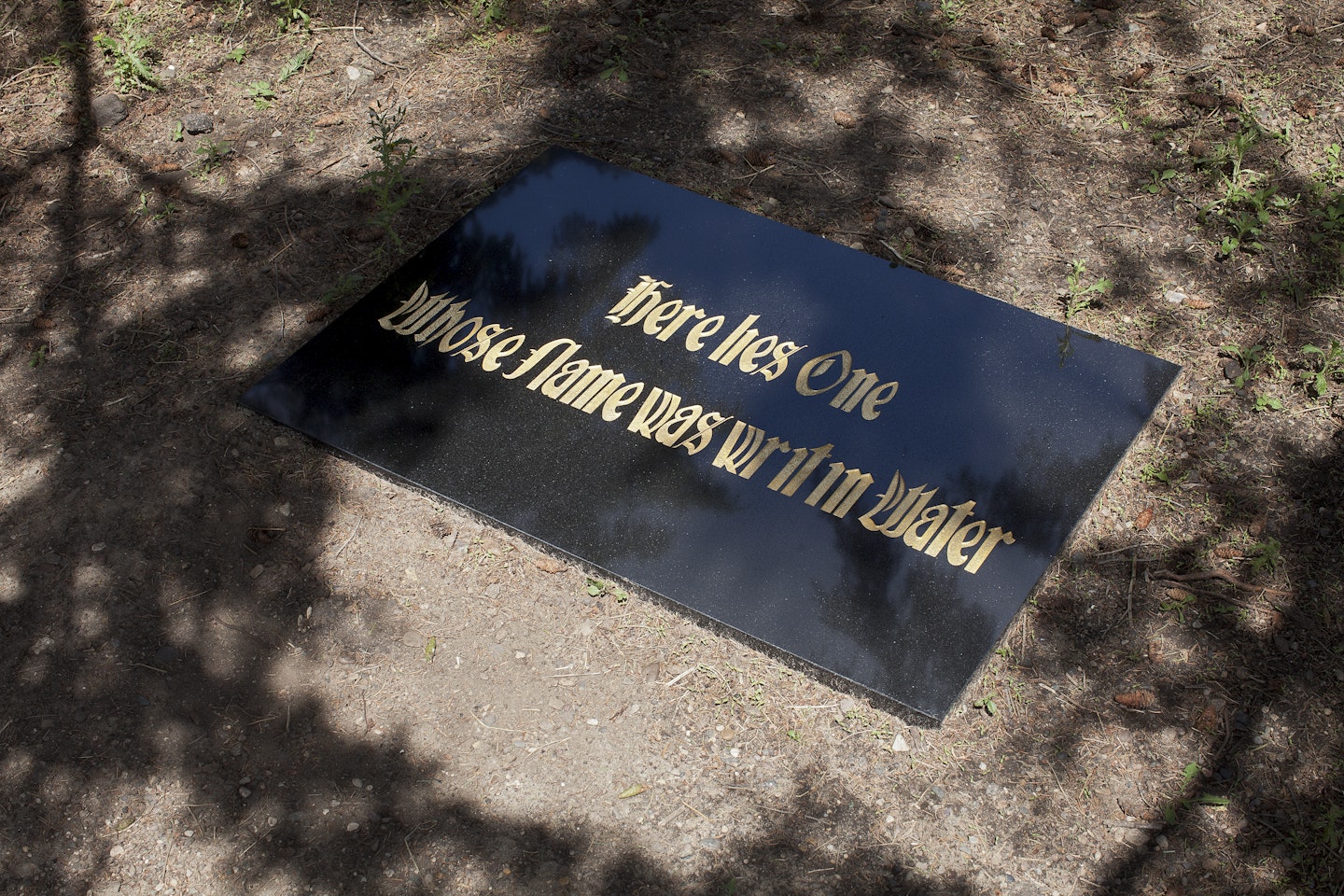 Installed in Minneapolis Sculpture Garden
