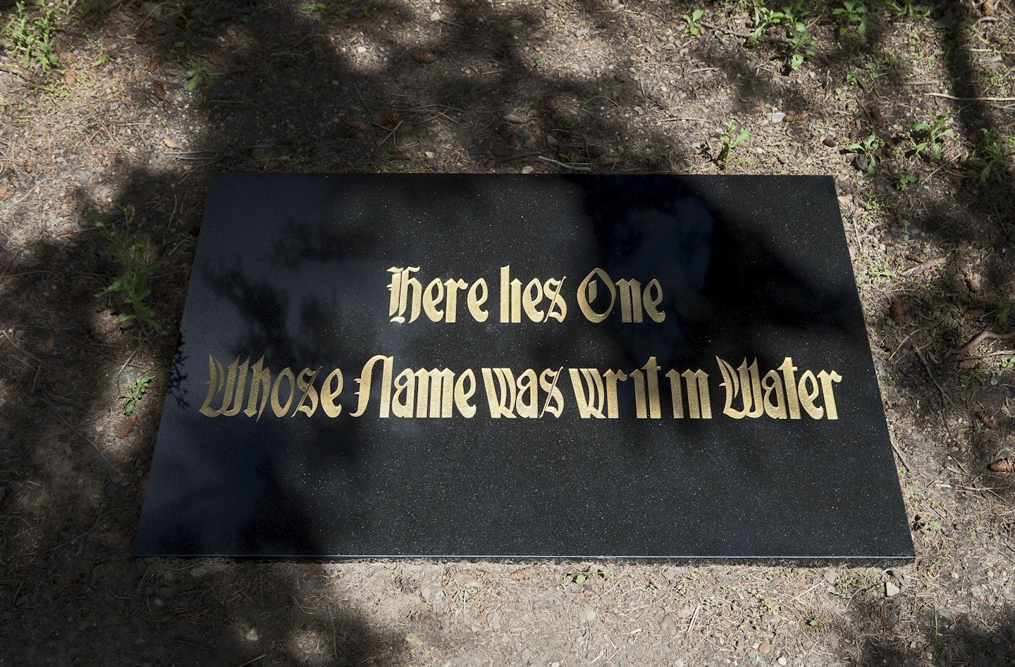 Installed in Minneapolis Sculpture Garden
