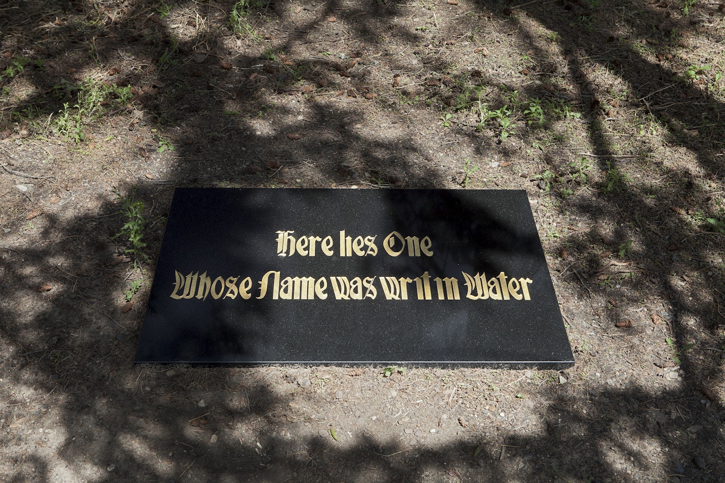 Installed in Minneapolis Sculpture Garden