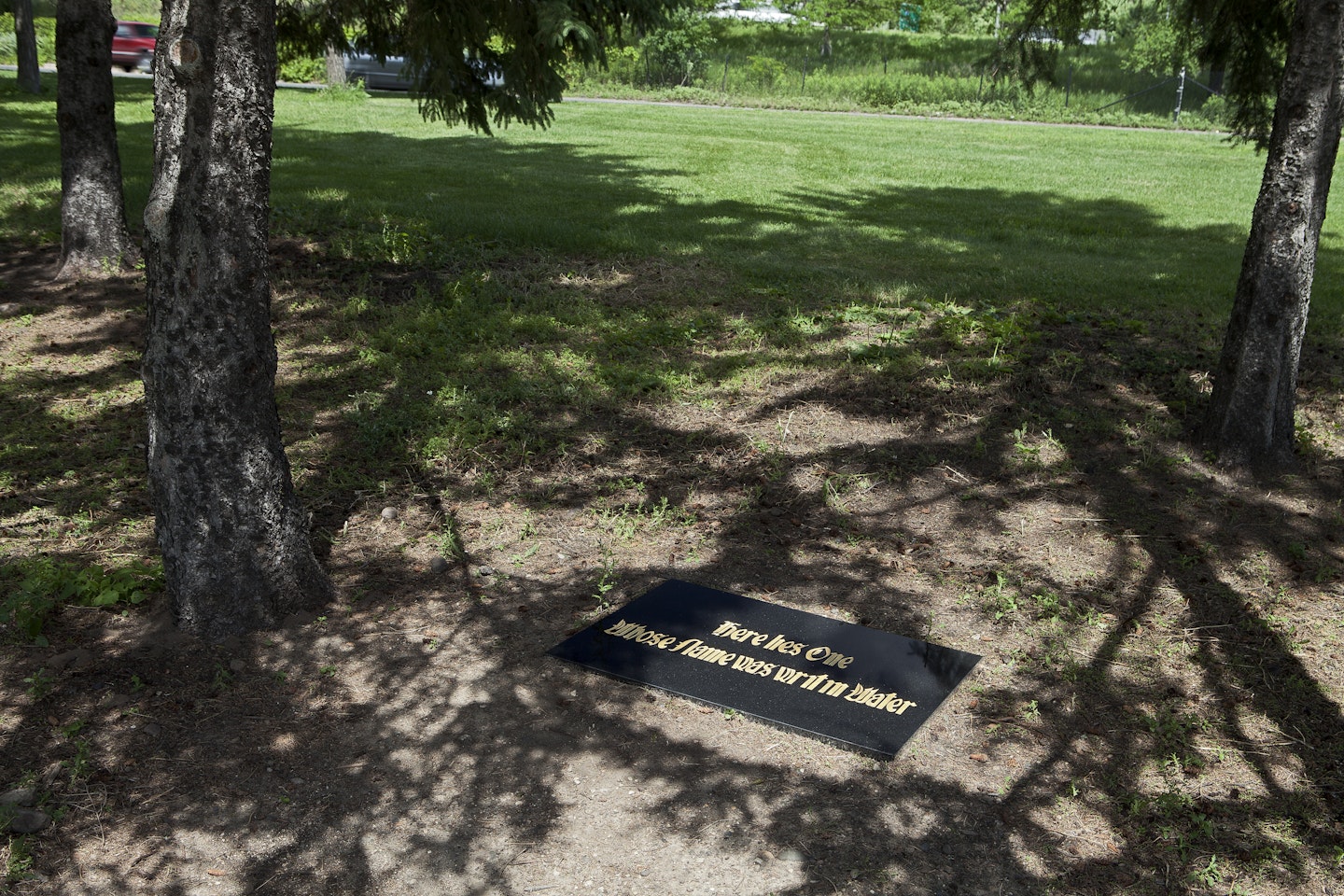 Installed in Minneapolis Sculpture Garden