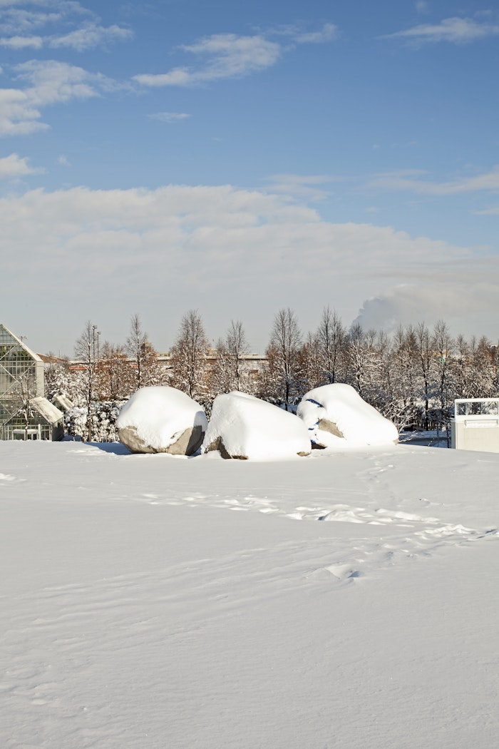 in winter