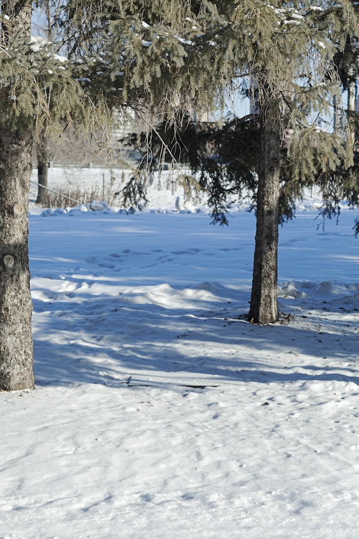 in winter, work is covered with snow.  View 9
