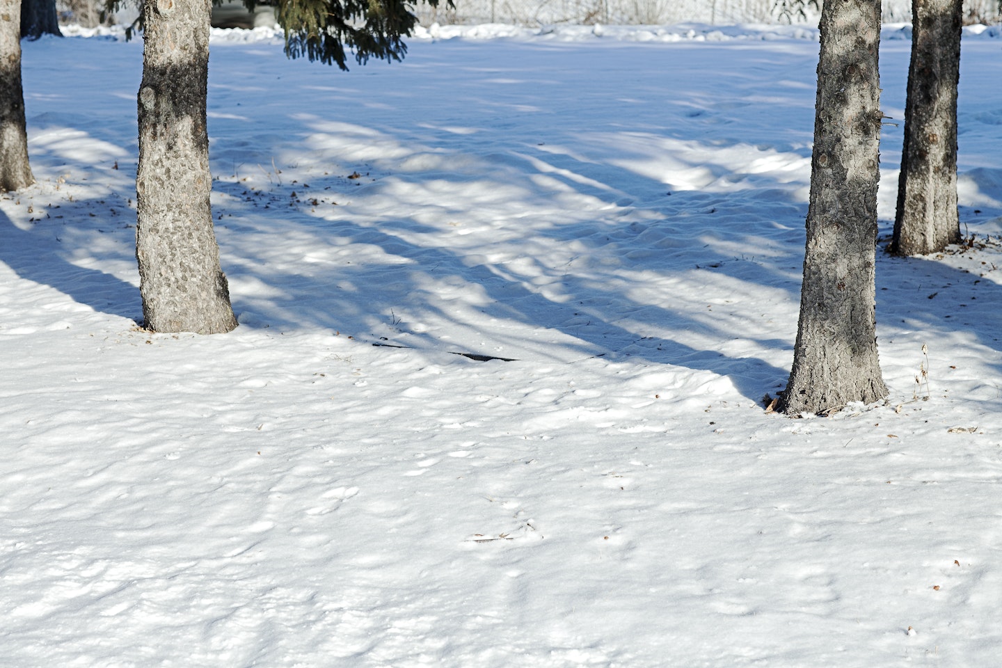 in winter, work is covered with snow.  View 11
