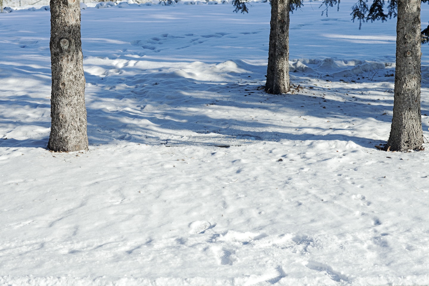 In winter, work is covered with snow.  View 14.