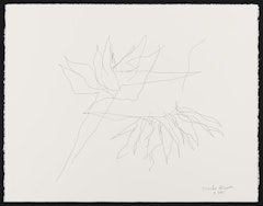Untitled (First Flower Drawing Done by Foot)