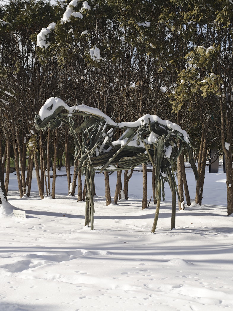 Winter view with snow