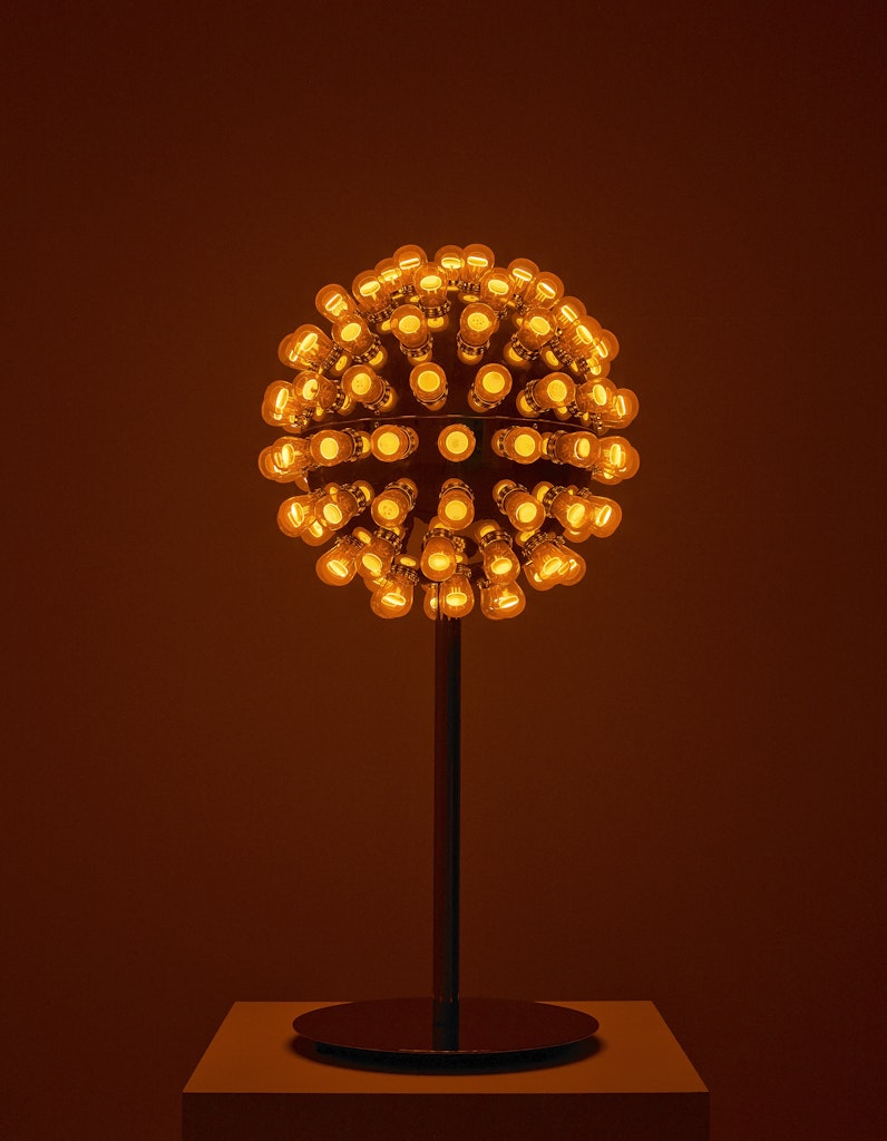 Electric Flower