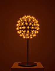 Electric Flower