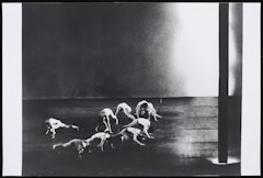 Merce Cunningham Dance Company in Canfield