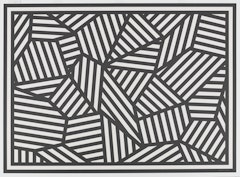 Complex Form with Black and White Bands