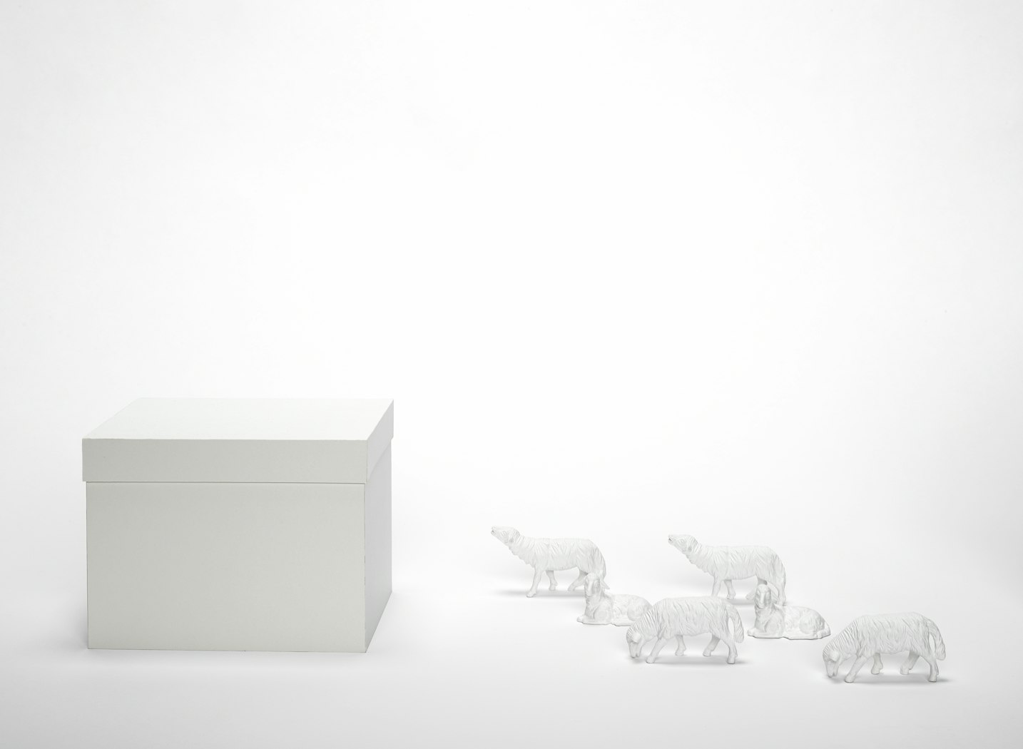 Schafe und Weißer Pappkarton (Sheep and White Cardboard Box) 