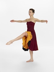 costumes for Banjo 
