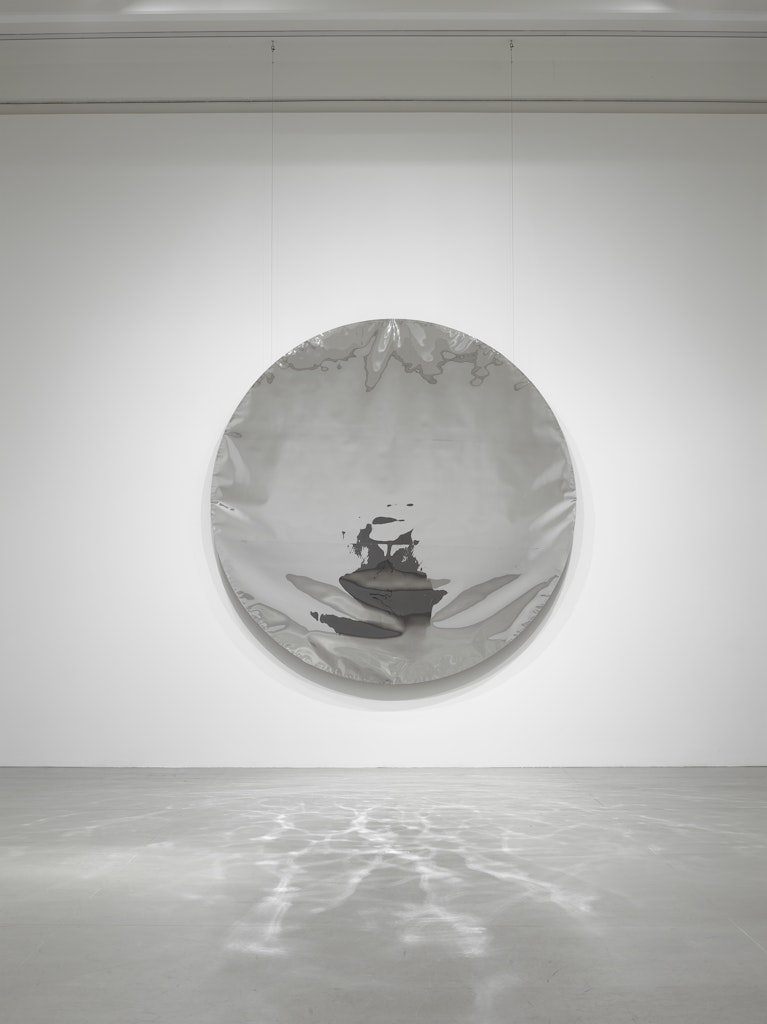 décor for Inlets (Mylar disk)