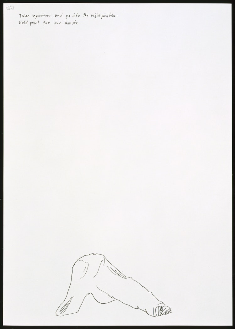 Take a Pullover and Go Into the Right Position. Hold Quiet for One Minute from the series One Minute Sculptures