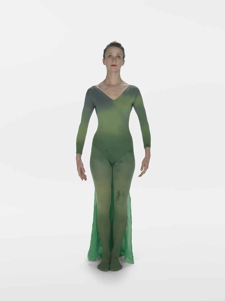 costume for Hands Birds