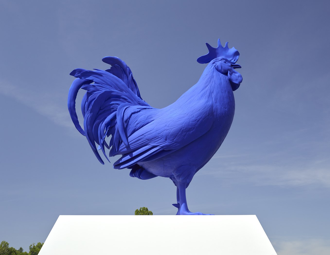 Hahn/Cock                                       